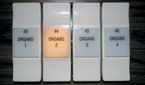 org1234