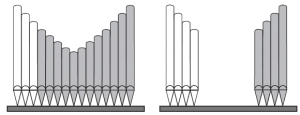 windchest